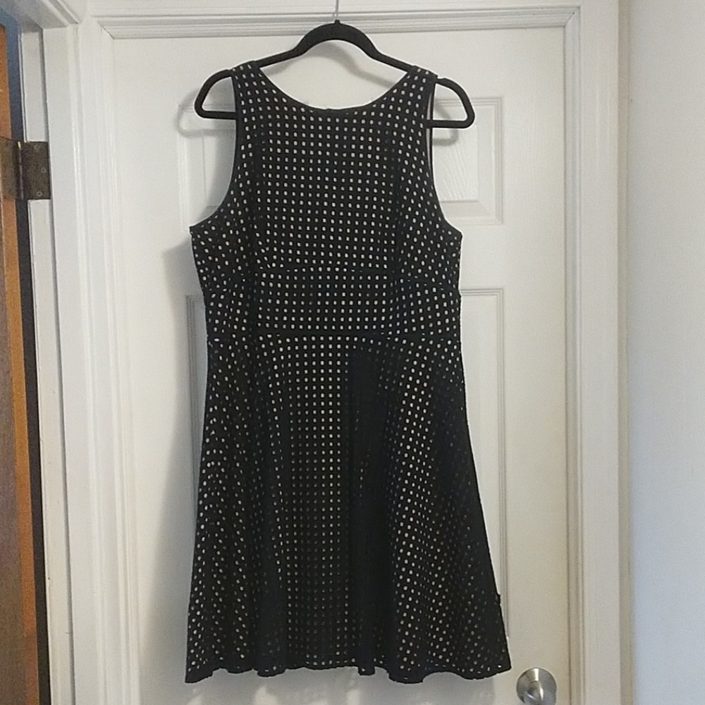 Navy Overlay w/Hole Pattern